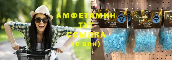 прущие грибы Корсаков