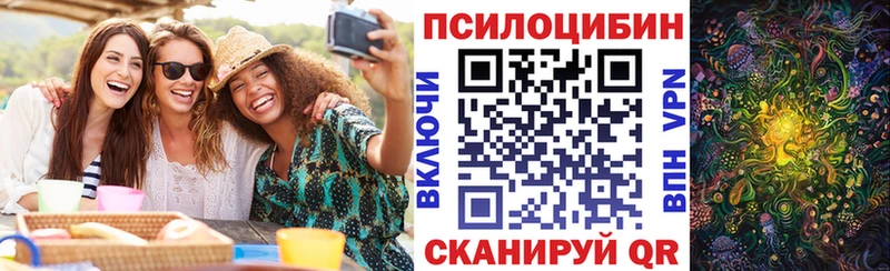 купить   Артём  Псилоцибиновые грибы GOLDEN TEACHER 