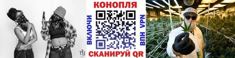 Конопля Amnesia Артём